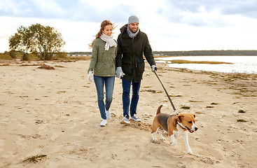 Image showing happy couple with beagle dog on autumn beach