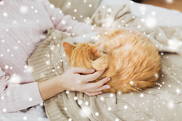 Image showing close up of owner with red cat in bed at home