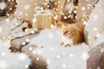 Image showing red tabby cat on sofa with christmas gift at home