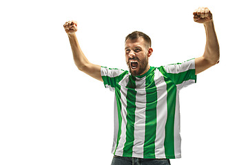 Image showing Irish fan celebrating on white background