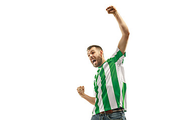 Image showing Irish fan celebrating on white background