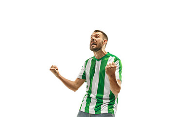 Image showing Irish fan celebrating on white background