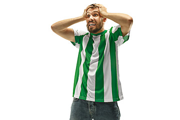 Image showing The unhappy and sad Irish fan on white background