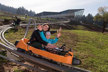 Image showing mother and son enjoys driving on alpine coaster