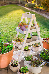 Image showing Small stone garden with garden shelf and pottery