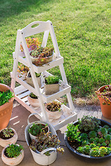 Image showing Small stone garden with garden shelf and pottery