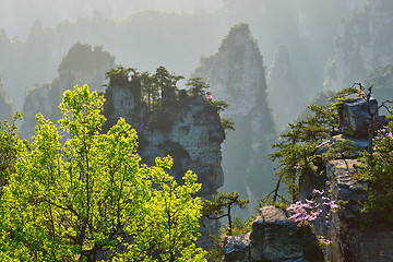 Image showing Zhangjiajie mountains, China