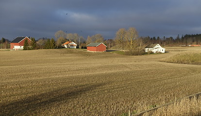 Image showing Farmland