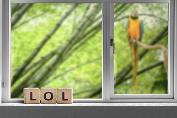 Image showing LOL sign in a window to a junge with a parrot