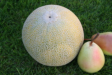 Image showing Cantaloupe melon and pears