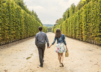 Image showing Couple Walking in a Garden