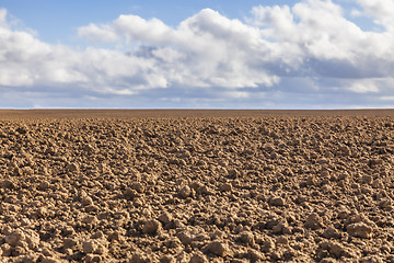 Image showing Agricultural Abstract