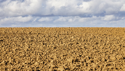 Image showing Agricultural Abstract