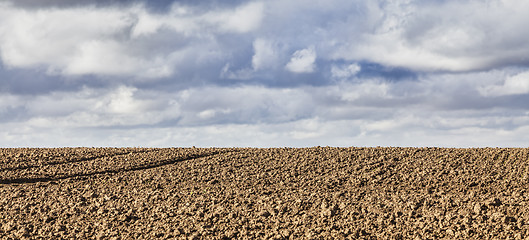 Image showing Agricultural Abstract