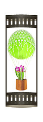 Image showing Hot Air Balloon and tulips in a basket. 3d render