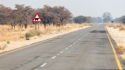 Image showing Warning sign for cows, cattle or livestock