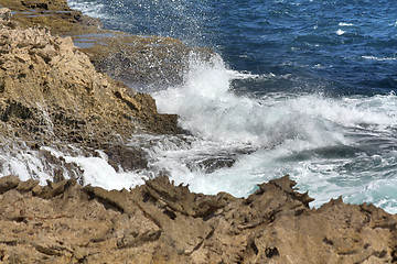 Image showing Wild Curacao - Suplado Jacuzzi