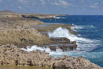 Image showing Wild Curacao - Suplado Jacuzzi