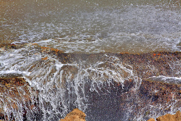 Image showing Wild Curacao - Suplado Jacuzzi