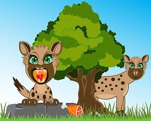 Image showing Wild animals hyena on background of the nature