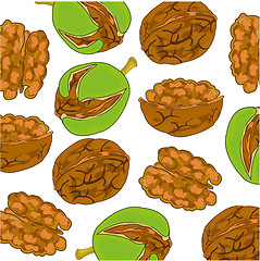 Image showing Walnut decorative pattern on white background is insulated