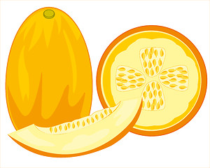 Image showing Fruit melon on white background is insulated