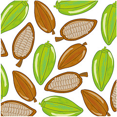 Image showing Fruits cacao on white background is insulated