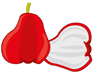 Image showing Fruit Chompu on white background is insulated