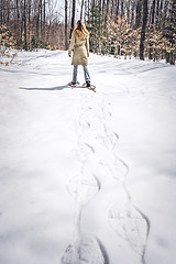 Image showing Young woman in snow shoes walking in winter forest