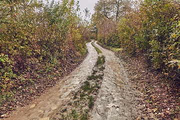 Image showing Dirtroad in the countryside