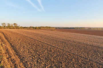 Image showing Agircutural field in late sunlight