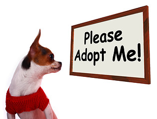 Image showing Please Adopt Me Sign Showing Stray Unwanted Canine