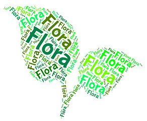 Image showing Flora Word Means Plant Life And Areas