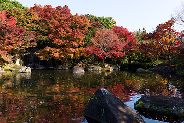 Image showing Kokoen Garden in Himeji city