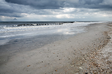 Image showing Pacific Ocean and sandy coast with rare shells