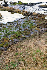 Image showing Swampland place with spots of snow