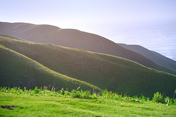 Image showing Green hills landscape in England, UK