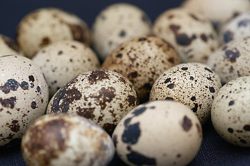 Image showing Close-up view on the Quail eggs