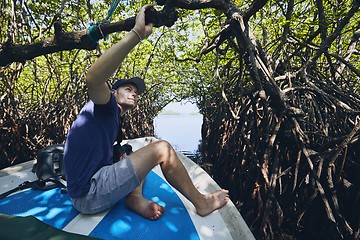 Image showing Boat trip through mangrove forest