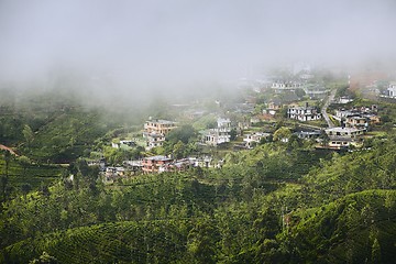 Image showing Tea plantations in clouds