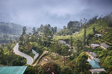 Image showing Town in the middle of tea plantations
