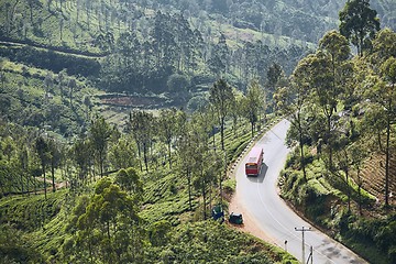 Image showing Road through tea plantations