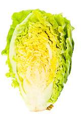 Image showing Cabbage