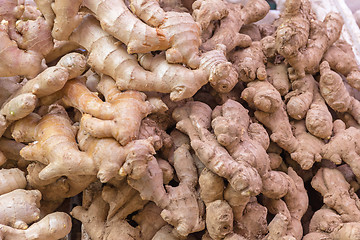 Image showing Ginger