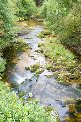 Image showing Stream in the Green