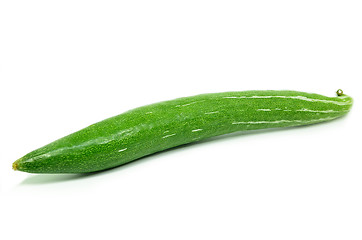 Image showing Snake gourd isolated