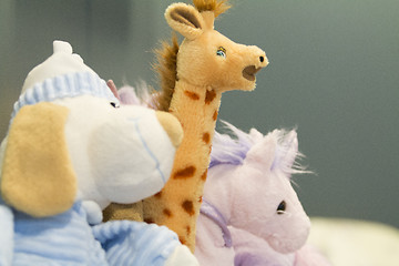 Image showing Stuffed Toys