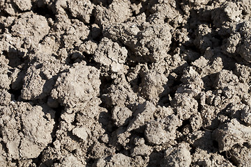 Image showing Dirt background texture 