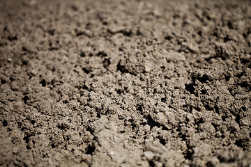 Image showing Dry soil background