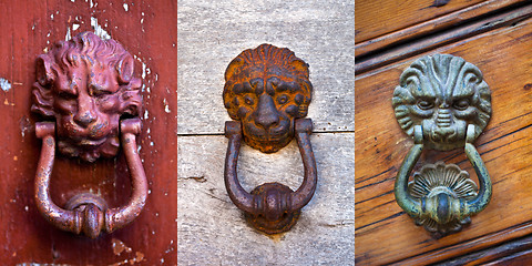 Image showing Lion shaped door knockers